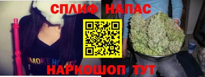 сатива Балаково