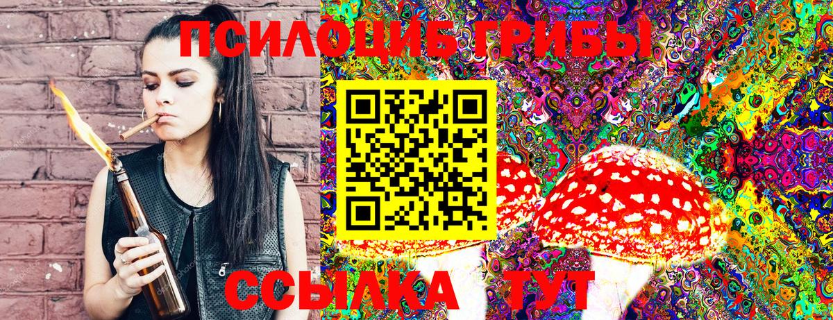 Галлюциногенные грибы Psilocybine cubensis Дмитров