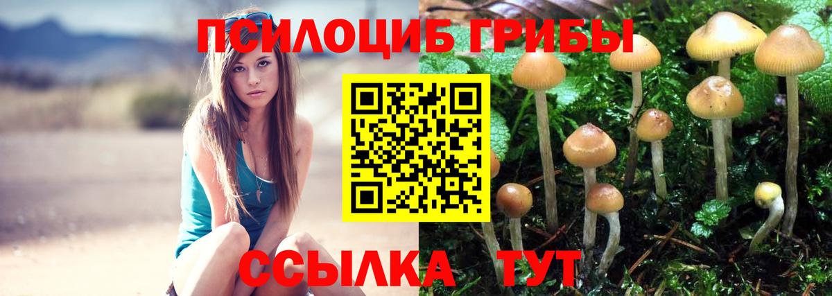 Дмитров  Псилоцибиновые грибы MAGIC MUSHROOMS  Вход с VPN 